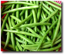 Le haricot vert