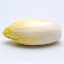 L'endive