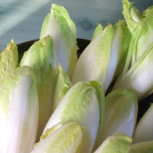 L'endive