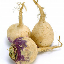 Le rutabaga