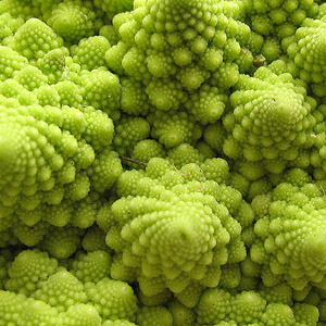 Le chou romanesco