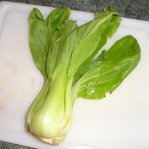 Le chou bok choy